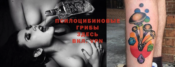 соль курить ск Новозыбков