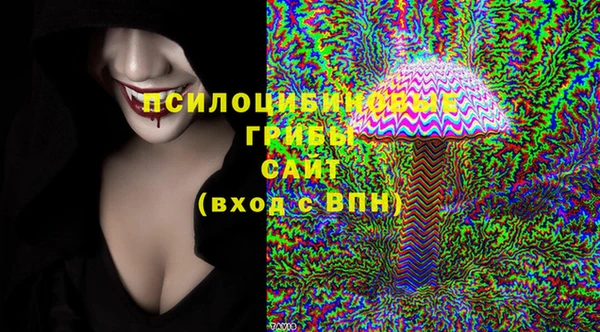 соль курить ск Новозыбков