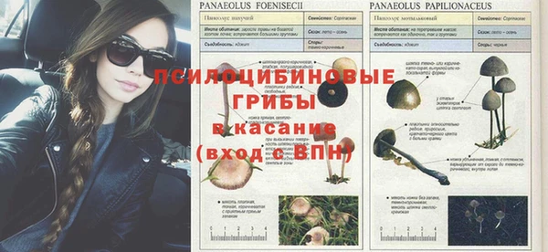 гидропоника Новокубанск