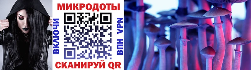 Купить закладки  Рассказово  Псилоцибиновые грибы Cubensis 